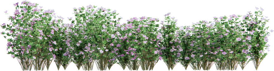 Obraz premium Flower bush cutout 