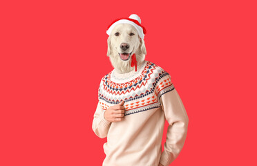 Handsome young man in knitted sweater on color background