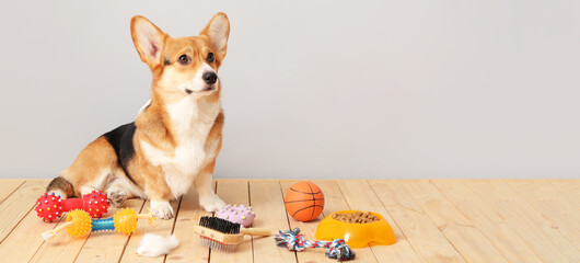 Cute dog with different pet accessories on floor against light background. Banner for design