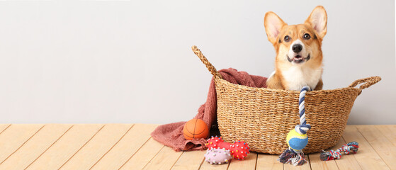 Cute dog in basket and with different pet accessories at home. Banner for design