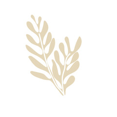 hand drawn shapes and floral leaf design elements. Exotic jungle leaves. Abstract contemporary modern trendy illustrations element icon