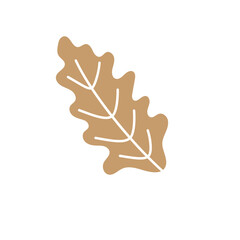 hand drawn shapes and floral leaf design elements. Exotic jungle leaves. Abstract contemporary modern trendy illustrations element icon