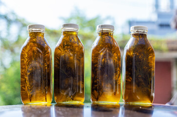 Easy homemade rosemary infused olive oil for cooking and soap making in glass bottles