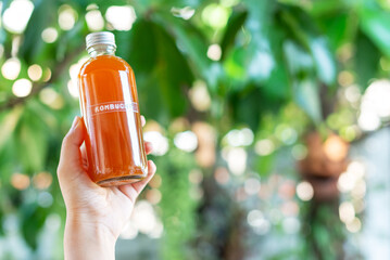 Hand holding a bottle of homemade kombucha drink in green nature background