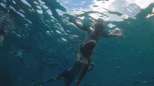 Underwater scene of toddler child boy and father swimming with inflatable armbands surrounded by fish in deep blue water. Slow motion