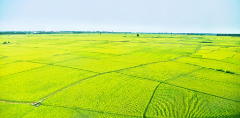 High angle view of farmland in China