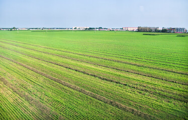 Fototapeta na wymiar High angle view of spring field