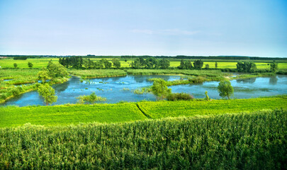 Obraz premium Landscape with farm and pond