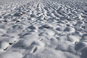 Plowed soil under white snow  ...