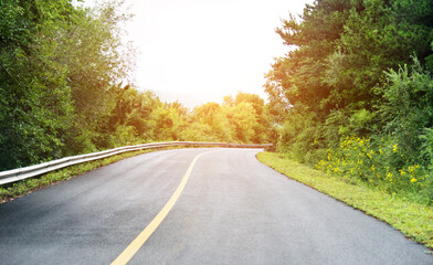 Asphalt road through green field in summer day