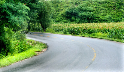Fototapeta premium Asphalt road through green field in summer day