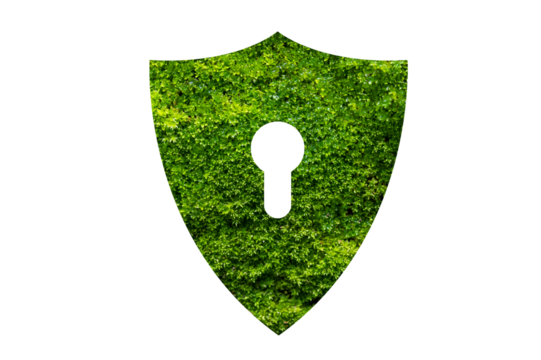 Green shield protects nature and protects the environment on transparent background PNG file