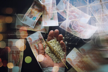The concept of the cost of grain. 5000 ruble banknotes around a handful of ground grain. World hunger.