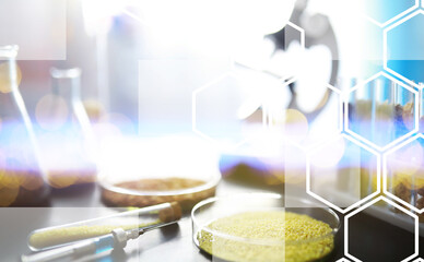 Research Analyzing Agricultural Grains And seeds In The Laboratory. Background with futuristic flare.