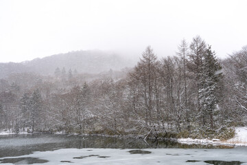 雪景色　雪化粧　寒い　冬　山里