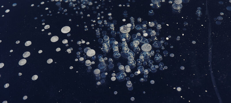 Gimlet 이미지 – 찾아보기 26,958 스톡 사진, 벡터 및 비디오 | Adobe Stock