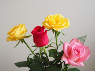 赤いバラ、黄色いバラ、ピンク色のバラ