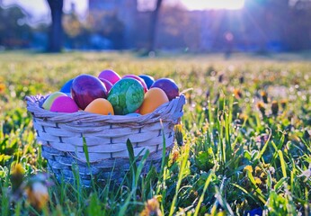 Easter eggs in wicker basket on green meadow