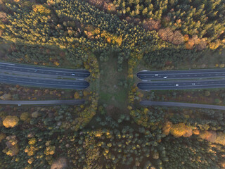 Ecoduct, ecopassage, nature bridge or game changeover. Infrastructure structure for animals and...