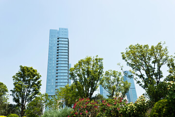 Obraz premium Modern glass buildings and green tree branches