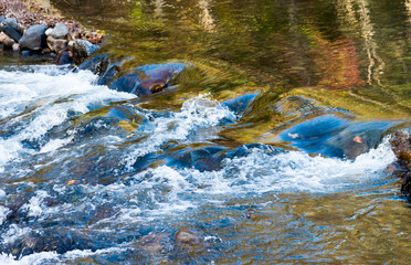 Moving wave of water reflection plants in the autumn