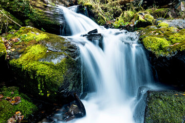 Fototapeta na wymiar Blurred waterfall throughing mossy rocks