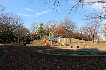 Autumn scenery of a typical park in Japan 