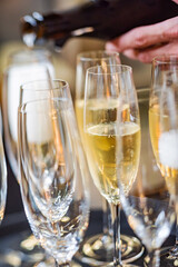 champagne glasses on catering table
