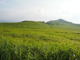 Fototapeta premium OLYMPUS DIGITAL CAMERA