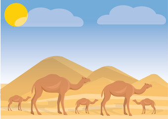 Fototapeta na wymiar camels in the desert landscape. camels in the desert . camel in desert