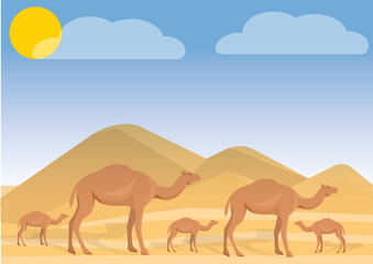 Fototapeta na wymiar camels in the desert illustration . camels in the desert . camel in desert