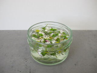 Homemade daisy toner in a jar