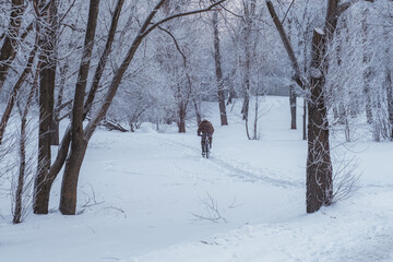 Snowy winter. Heavy snowfall in Moscow