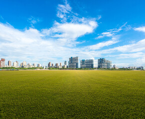 field and sky