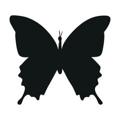 Butterfly Silhouette