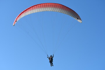 Paragliding, the most adventurous activity one can do in cliffs, mountainous beaches. Port Morton Lookout at Lennox head , NSW, Australia is a good choice for doing paragliding. 