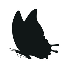 Fototapeta premium Butterfly Silhouette