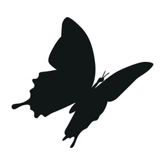 Butterfly Silhouette