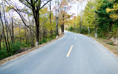 Fototapeta premium Scenic road through autumn trees