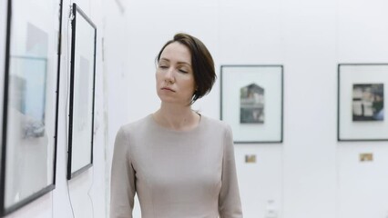 An attractive brownie walks through an art gallery, and evaluates the paintings of artists