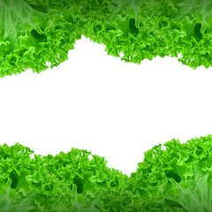 Obraz premium green leaves frame transparant background
