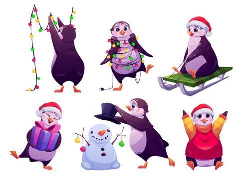 Christmas Penguin, Cute Animal Hanging Festive Garland, Wear Santa Hat And Sweater , Holding Gift Box, Riding Sled, Making Snowman. Cute Cartoon Character Prepare For Holidays, Vector Illustration