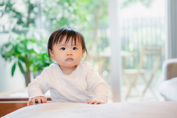 Fototapeta premium 家でつかまり立ちをする赤ちゃん