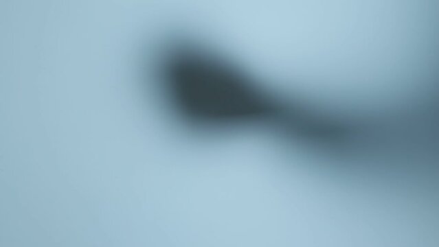 Shadow of the hands knock on the window, blur. Murderer, killer or robber