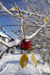 Autumn met winter. The sun is shining. There are still yellow leaves on the branches, even buds. But the street is covered with snow and Christmas is coming soon, so the tree is decorated with a ball.