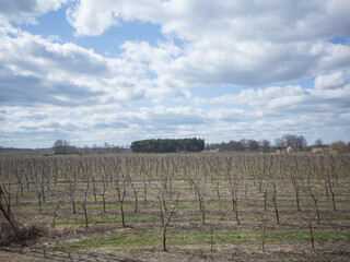 Obraz premium cloudy sky and farmland spreading in the countryside in Poland