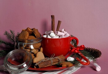 A cup of cocoa on a pink background with homemade gingerbread cookies and fir branches. Red mug of hot chocolate with a small marshmallow.
