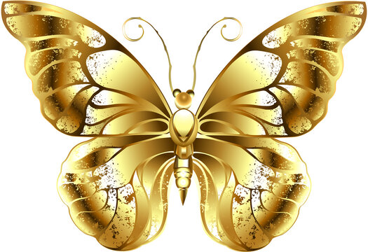 Golden Butterfly Stock Photos and Pictures - 34,922 Images
