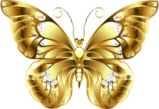 Gold Butterfly Images – Browse 46,383 Stock Photos, Vectors, and Video