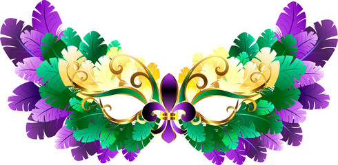 Mardi Gras Mask of Feathers